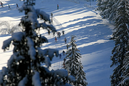 hotel dolce casa fassalandia